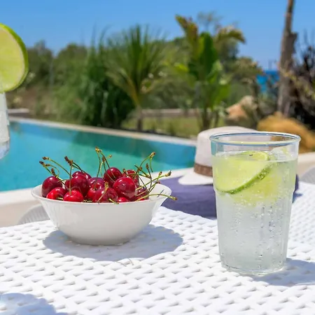 Panaxia Votsalo Villa *