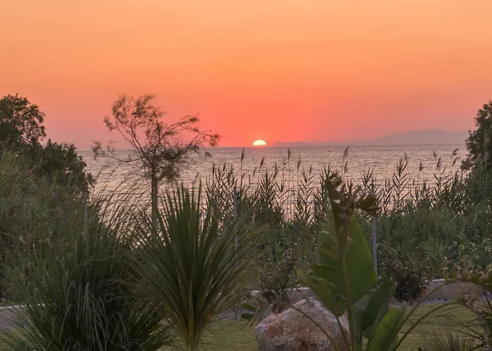 Panaxia Votsalo Theológos